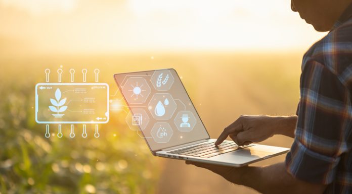 Farmer using digital tablet in corn crop cultivated field with smart farming interface icons and light flare sunset effect. Smart and new technology for agriculture business concept.