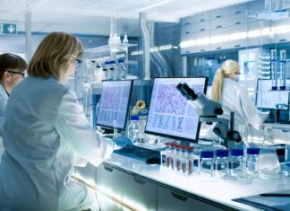 France vs. the UK — Which Country Leads in Clinical Trial Excellence? France vs. the UK — Which Country Leads in Clinical Trial Excellence?