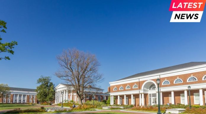 UVA Darden Tops Princeton Review for Professors and MBA Management