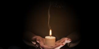 The Evolving Landscape of Modern Workplace Wellness The Evolving Landscape of Modern Workplace Wellness