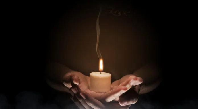 The Evolving Landscape of Modern Workplace Wellness