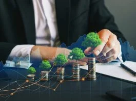 Eco business and nature investment. Green business growth. Businessman holding coin with tree growing on money coin stack. Finance sustainable development.