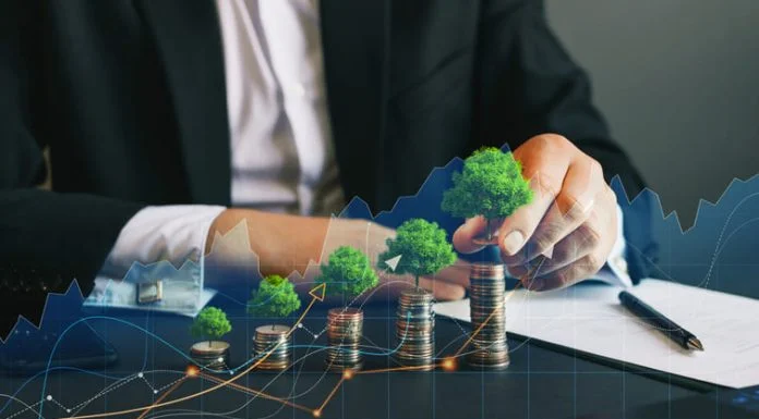 Eco business and nature investment. Green business growth. Businessman holding coin with tree growing on money coin stack. Finance sustainable development.
