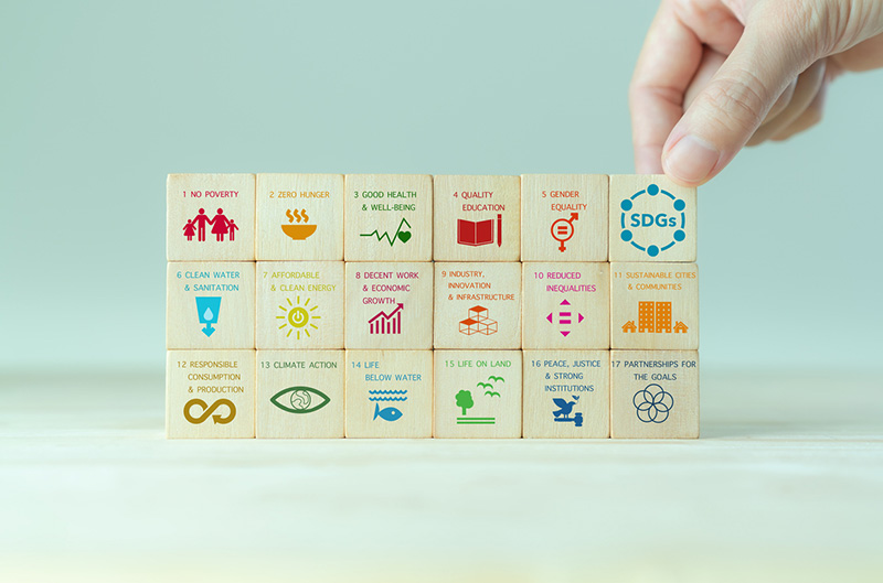 Transforming Business Education Through Sustainability and Innovation