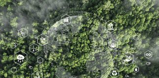 Transforming Business Education Through Sustainability and Innovation