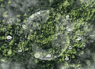 Transforming Business Education Through Sustainability and Innovation