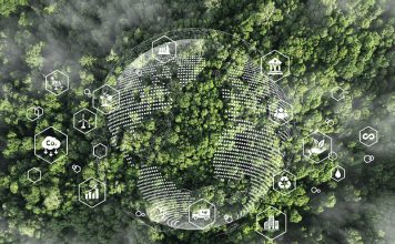 Transforming Business Education Through Sustainability and Innovation