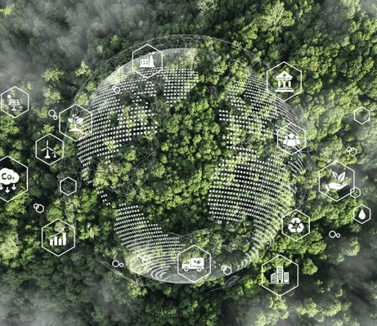 Transforming Business Education Through Sustainability and Innovation