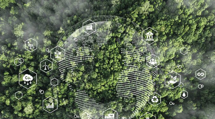 Transforming Business Education Through Sustainability and Innovation