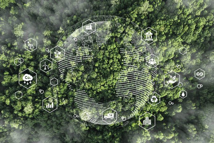 Transforming Business Education Through Sustainability and Innovation