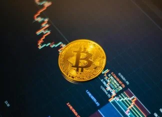 How to Choose the Best Cryptocurrency Wallet Cryptocurrency Wallet