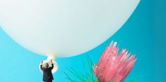 Looking Towards 2026