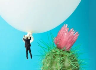 Looking Towards 2026