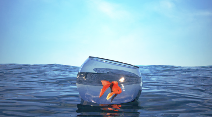 On Ultraintelligence and Ultra Risks