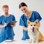 Evette Staffing Values People, Culture, and Impact in Veterinary Work
