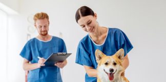 Evette Staffing Values People, Culture, and Impact in Veterinary Work: Evette Staffing’s Purpose-Driven Roots Evette Staffing Values People, Culture, and Impact in Veterinary Work