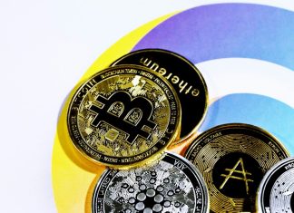 Surviving the Crypto Rollercoaster: Strategies to Avoid Emotional Investing and Protect your Bankroll Emotional Investing in Crypto