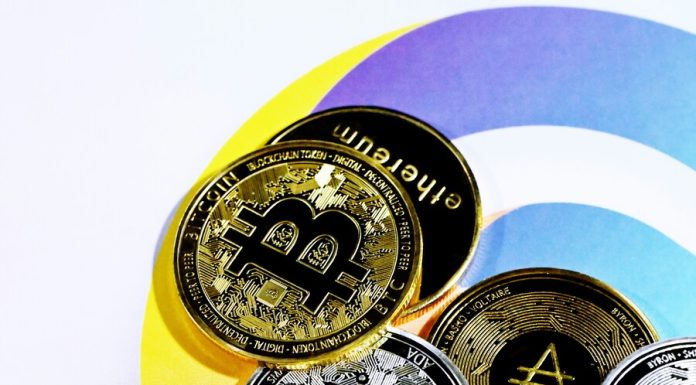 Surviving the Crypto Rollercoaster: Strategies to Avoid Emotional Investing and Protect your Bankroll Emotional Investing in Crypto