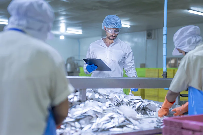 How to Start a Fish Processing Business Without Huge Capital and With Lower Risks