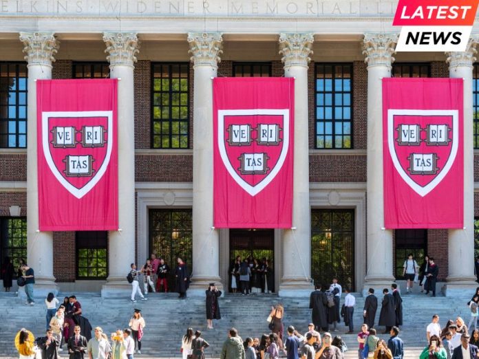 Harvard Tops Global MBA