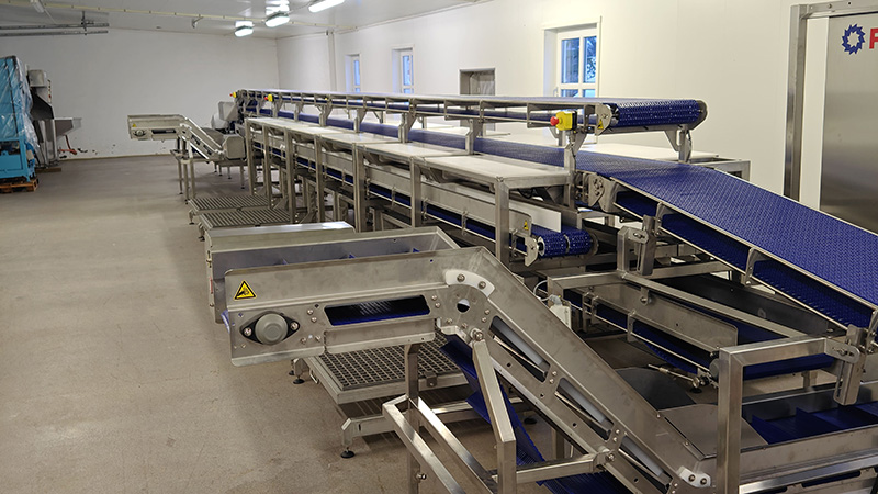 How to Start a Fish Processing Business Without Huge Capital and With Lower Risks