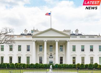 University - White House