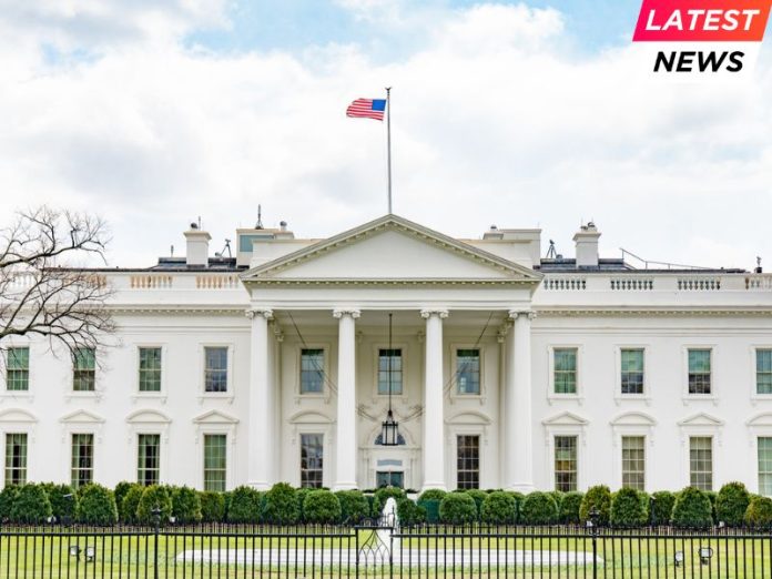 University - White House University - White House