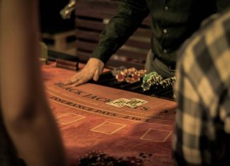 man in green dress shirt sitting on chair while gambling with taxes