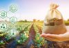 Best Crypto Yield Farming: Maximizing Returns in DeFi