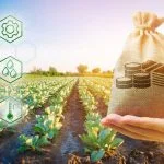 Best Crypto Yield Farming: Maximizing Returns in DeFi Best Crypto Yield Farming: Maximizing Returns in DeFi