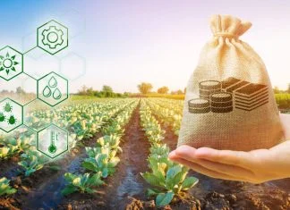 Best Crypto Yield Farming: Maximizing Returns in DeFi Best Crypto Yield Farming: Maximizing Returns in DeFi