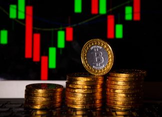 What You Should Know Before Jumping on the Next Big Crypto Coin crypto coin