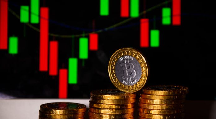 What You Should Know Before Jumping on the Next Big Crypto Coin crypto coin