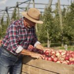 Gabriel Massuh, The Chilean Leader Who Found His Business Purpose in Fruit Gabriel Massuh, Fruit business owner