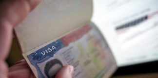 How to Take the Perfect Schengen Visa Photo Photo passport with visa