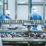 How to Start a Fish Processing Business Without Huge Capital and With Lower Risks Workers processing fish on an industrial conveyor line in a modern food factory Focus on safety hygiene and efficiency in food manufacturing and packaging operations. Fish Processing Business