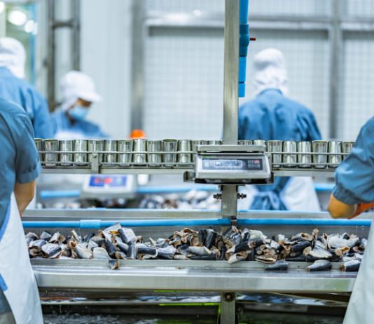 How to Start a Fish Processing Business Without Huge Capital and With Lower Risks Workers processing fish on an industrial conveyor line in a modern food factory Focus on safety hygiene and efficiency in food manufacturing and packaging operations. Fish Processing Business
