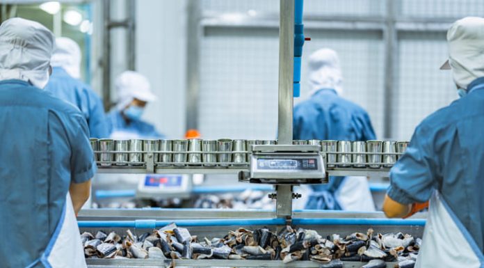 How to Start a Fish Processing Business Without Huge Capital and With Lower Risks Workers processing fish on an industrial conveyor line in a modern food factory Focus on safety hygiene and efficiency in food manufacturing and packaging operations. Fish Processing Business