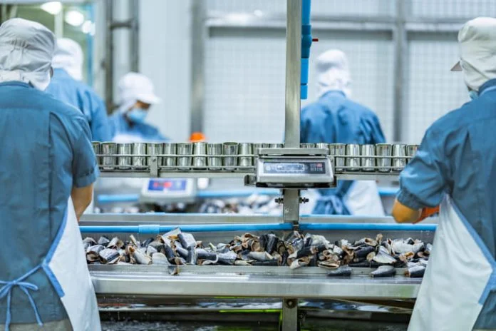 iStock-2194643196 (1) Workers processing fish on an industrial conveyor line in a modern food factory Focus on safety hygiene and efficiency in food manufacturing and packaging operations. Fish Processing Business