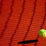 Why Platforms Like First.com Are Changing the Way Fans Engage With Sports Tennis ball for fans of sports