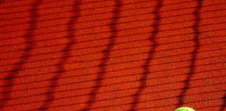 Why Platforms Like First.com Are Changing the Way Fans Engage With Sports Tennis ball for fans of sports