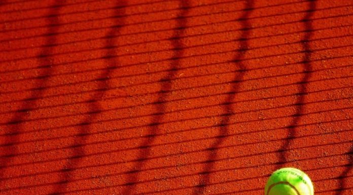 Why Platforms Like First.com Are Changing the Way Fans Engage With Sports Tennis ball for fans of sports