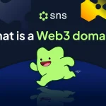 Web3 Domains vs Traditional DNS: The .Sol Case Study SNS web3 domain