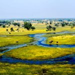 How to Experience the Okavango Delta With Comfort and Elegance Okavango Delta