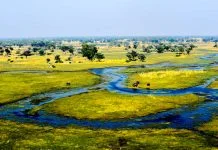 Okavango Delta