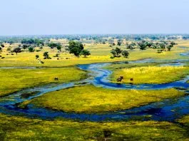Okavango Delta