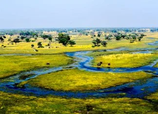 How to Experience the Okavango Delta With Comfort and Elegance Okavango Delta