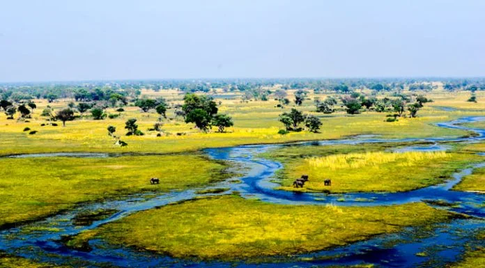 How to Experience the Okavango Delta With Comfort and Elegance Okavango Delta
