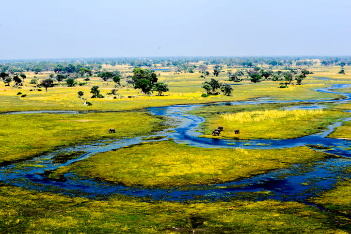 How to Experience the Okavango Delta With Comfort and Elegance
