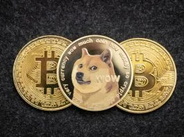 When Dogecoin Was Just a Joke in The Untold Early Days of DOGE’s Community Dogecoin